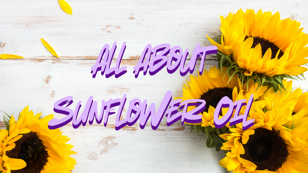 All About Sunflower Oil