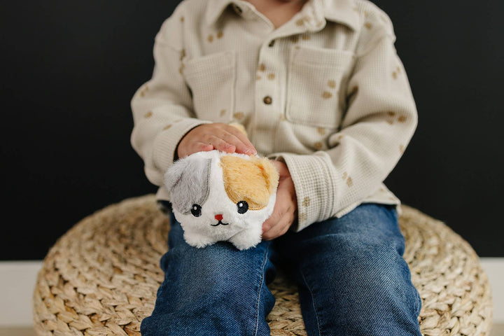 Kitten Baby Warm Pal