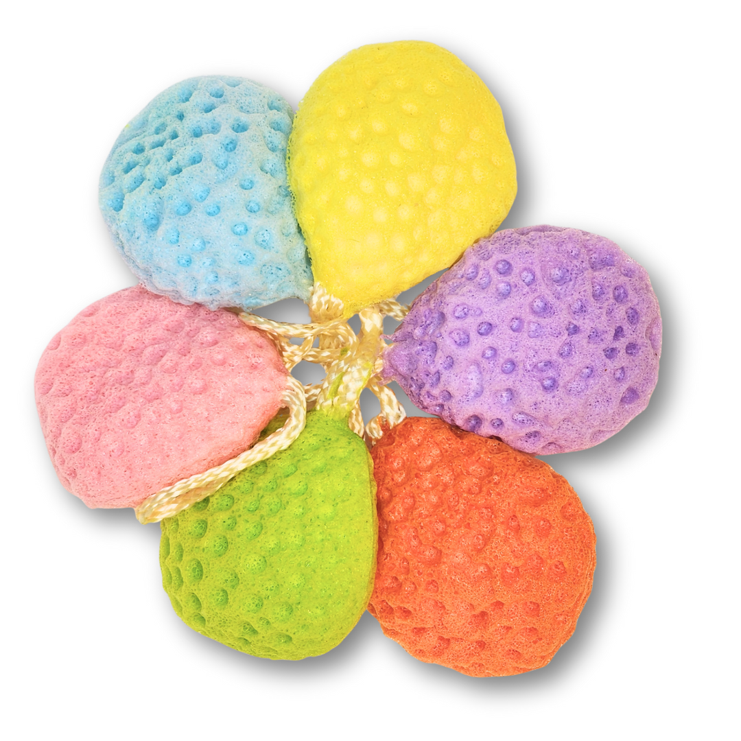 Colorful Sponge