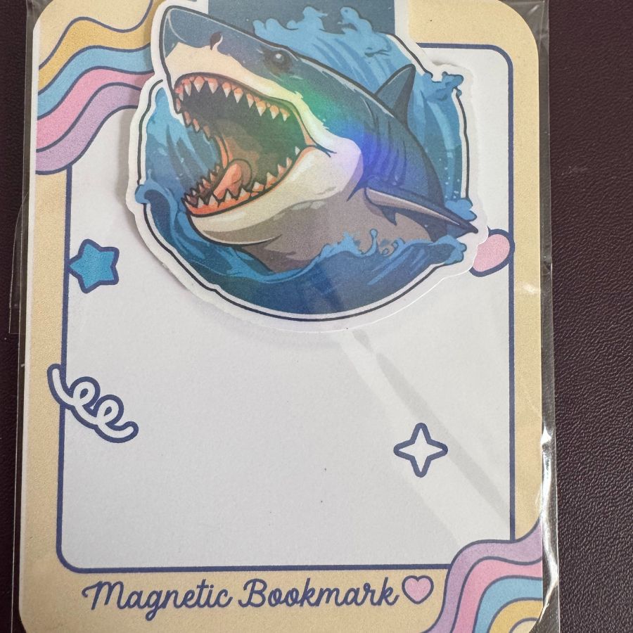 Boy Magnetic Bookmarks