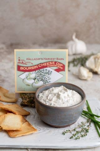 Boursin Cheese Dip & Seasoning Blend