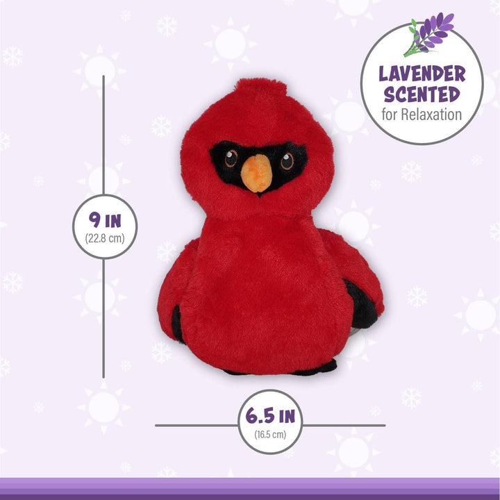 Caring Cardinal Warm Pal