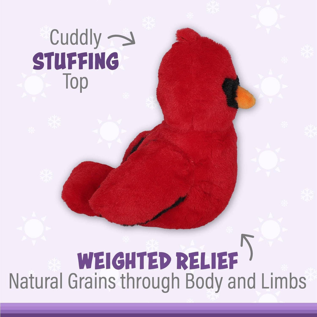 Caring Cardinal Warm Pal